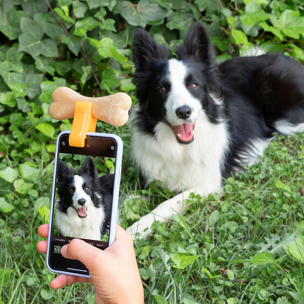 Selfies pour Animaux