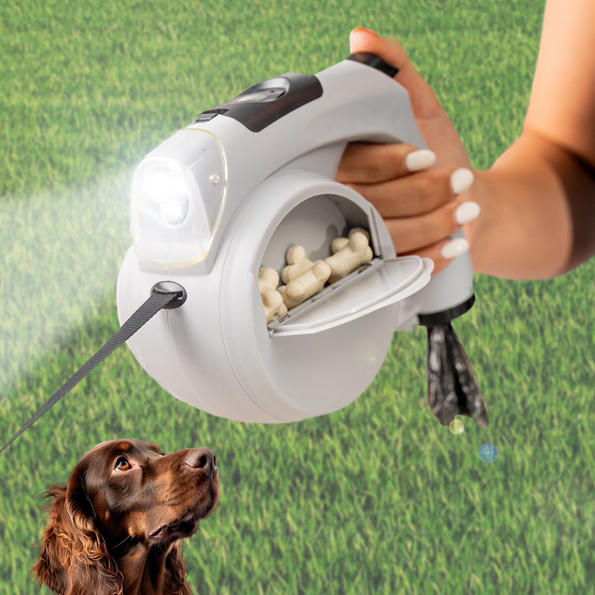 Laisse de chien rétractable