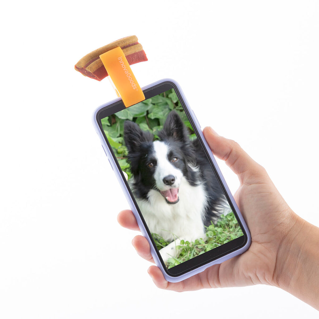 Selfies pour Animaux