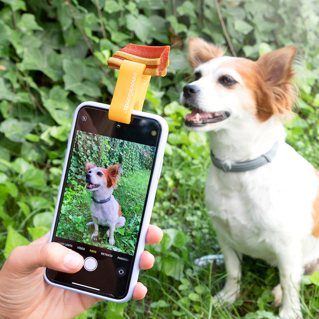 Selfies pour Animaux