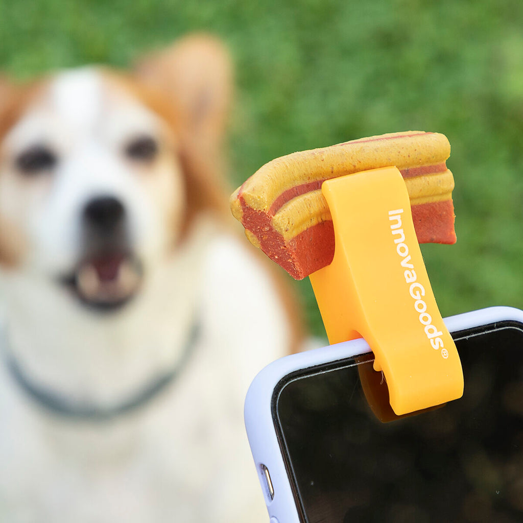 Selfies pour Animaux