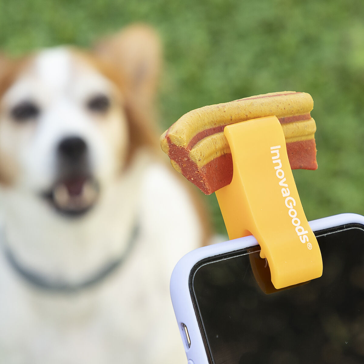 Selfies pour Animaux